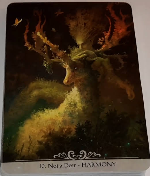 Barbieri Unicorns Oracle